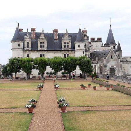 Appartement Au Calme, Avec Parc Prive, 50M Du Tram Tours Dış mekan fotoğraf