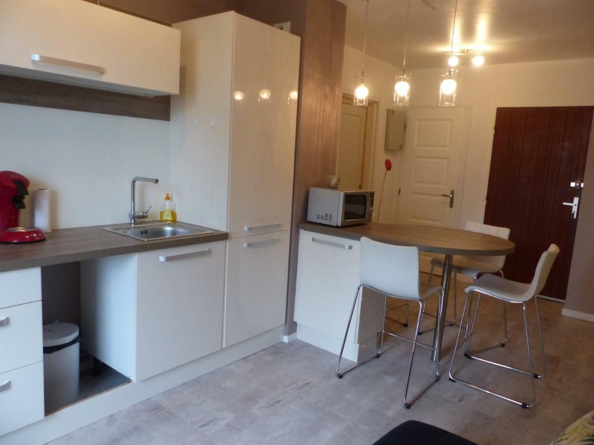 Appartement Au Calme, Avec Parc Prive, 50M Du Tram Tours Dış mekan fotoğraf